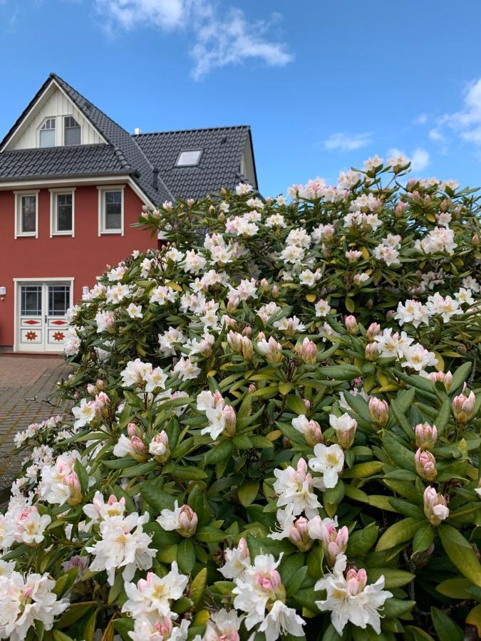 Ferienwohnung Strandgut - Kavelweg 9 - Цингст Экстерьер фото