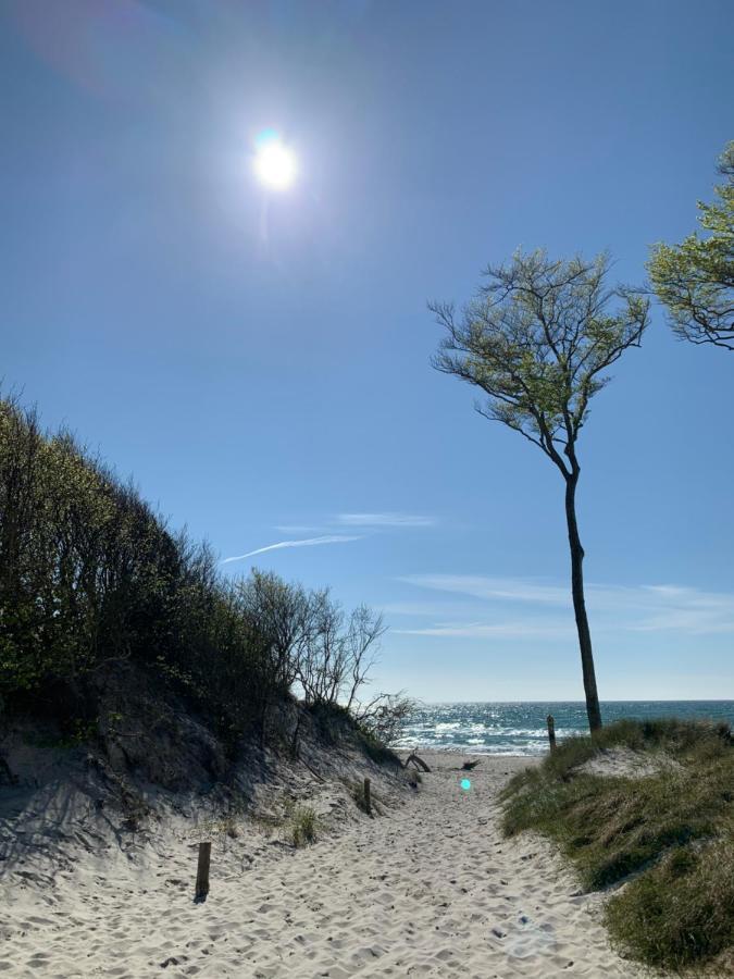 Ferienwohnung Strandgut - Kavelweg 9 - Цингст Экстерьер фото