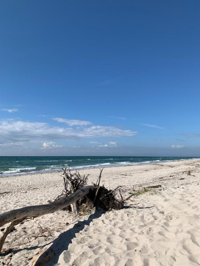 Ferienwohnung Strandgut - Kavelweg 9 - Цингст Экстерьер фото